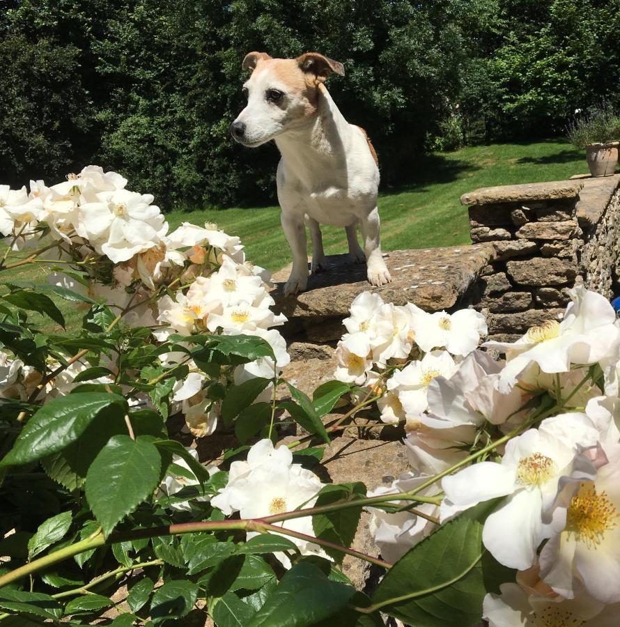 Great Ashley Farm Bed And Breakfast & Shepherds Huts Bradford-On-Avon Eksteriør billede